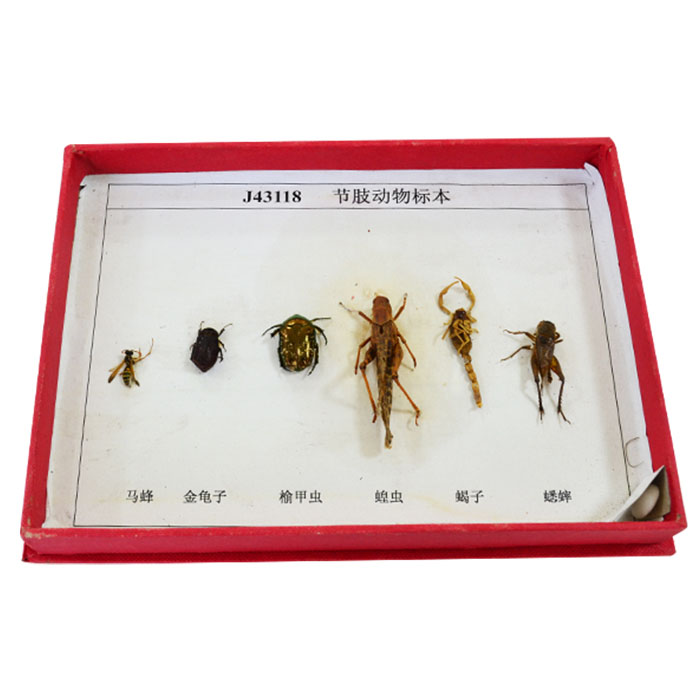 43118��(ji��)֫�����(bi��o)��